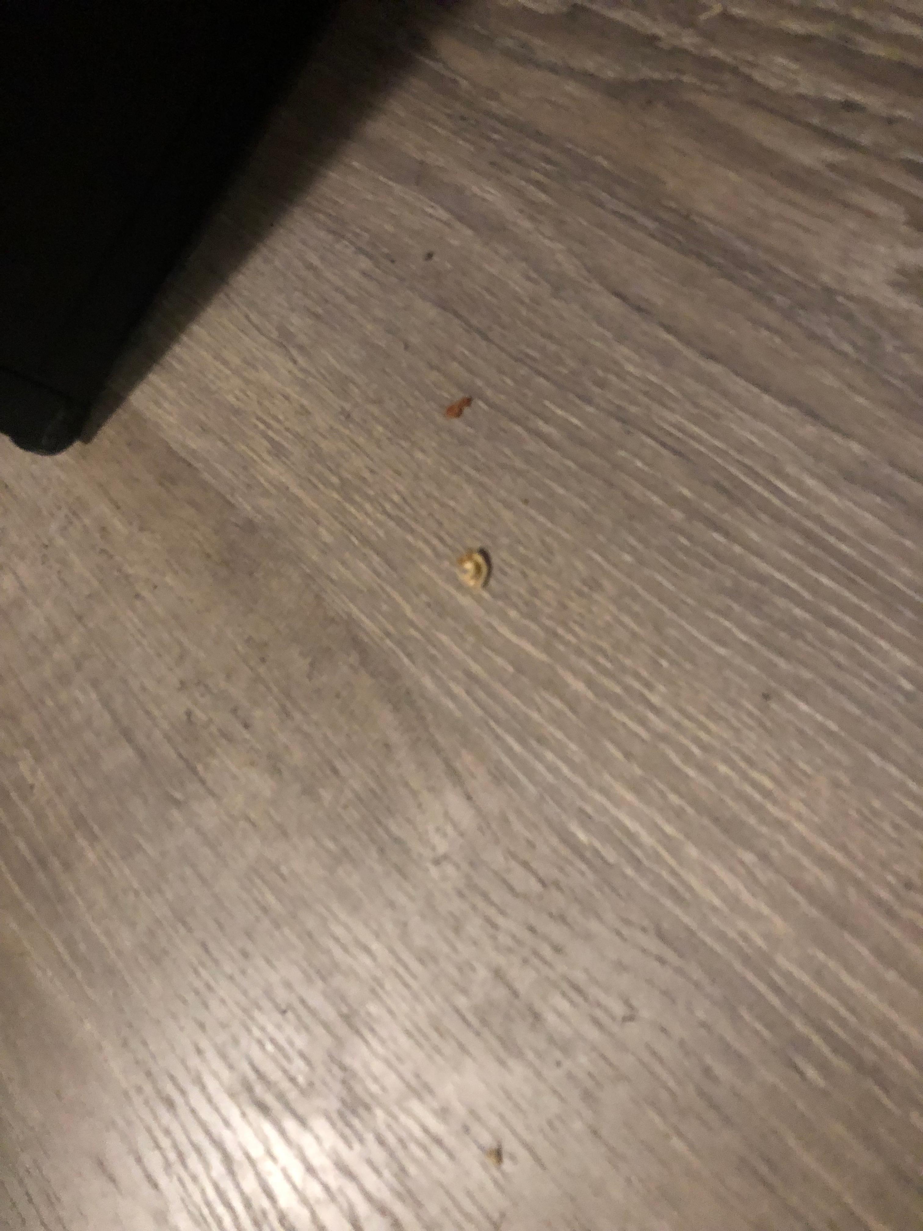 Food on floor