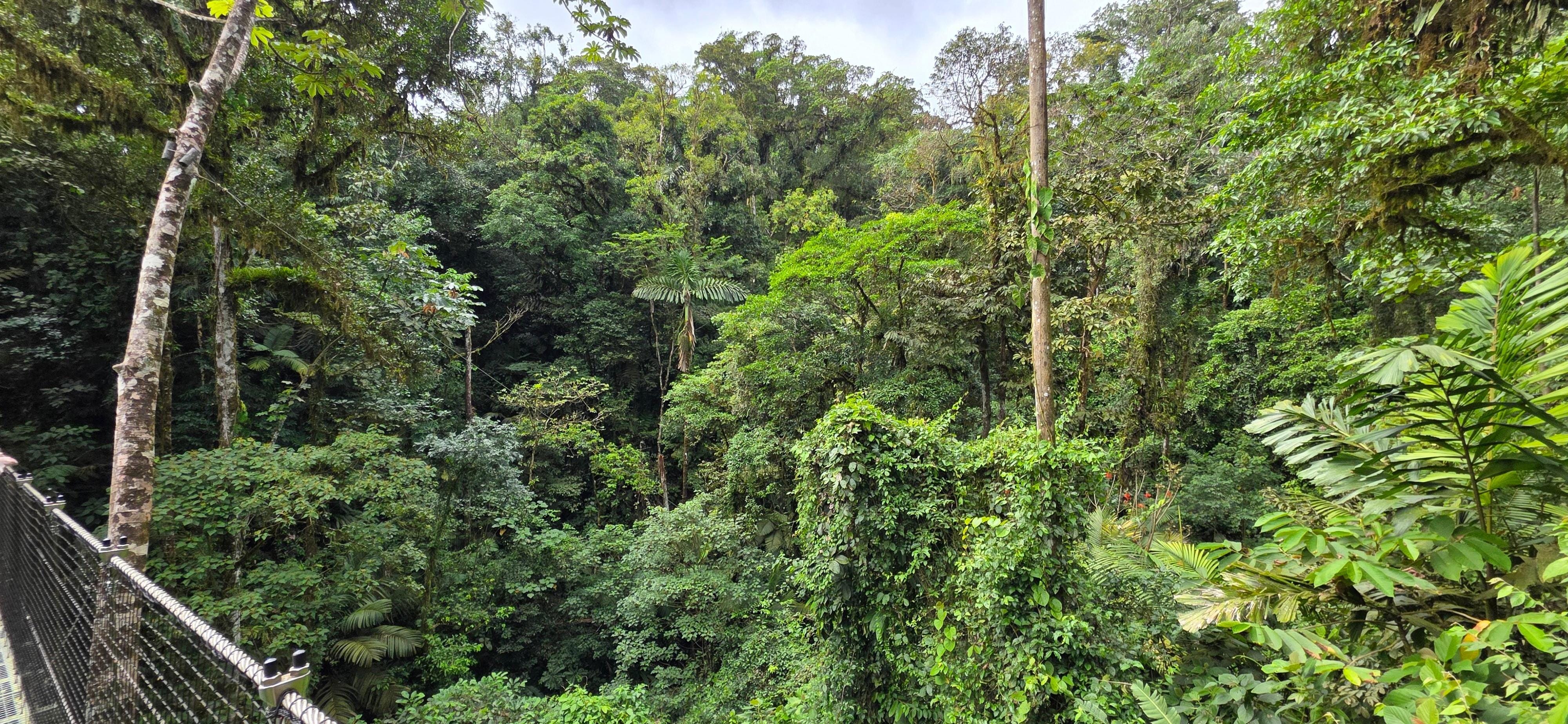 Along the Puma Trek hike on the resort property