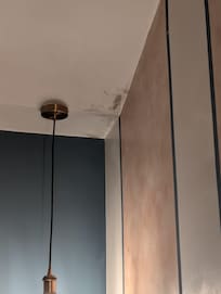 Mold in room