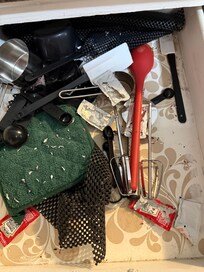 A rodent was in the kitchen. Also saw large roach.