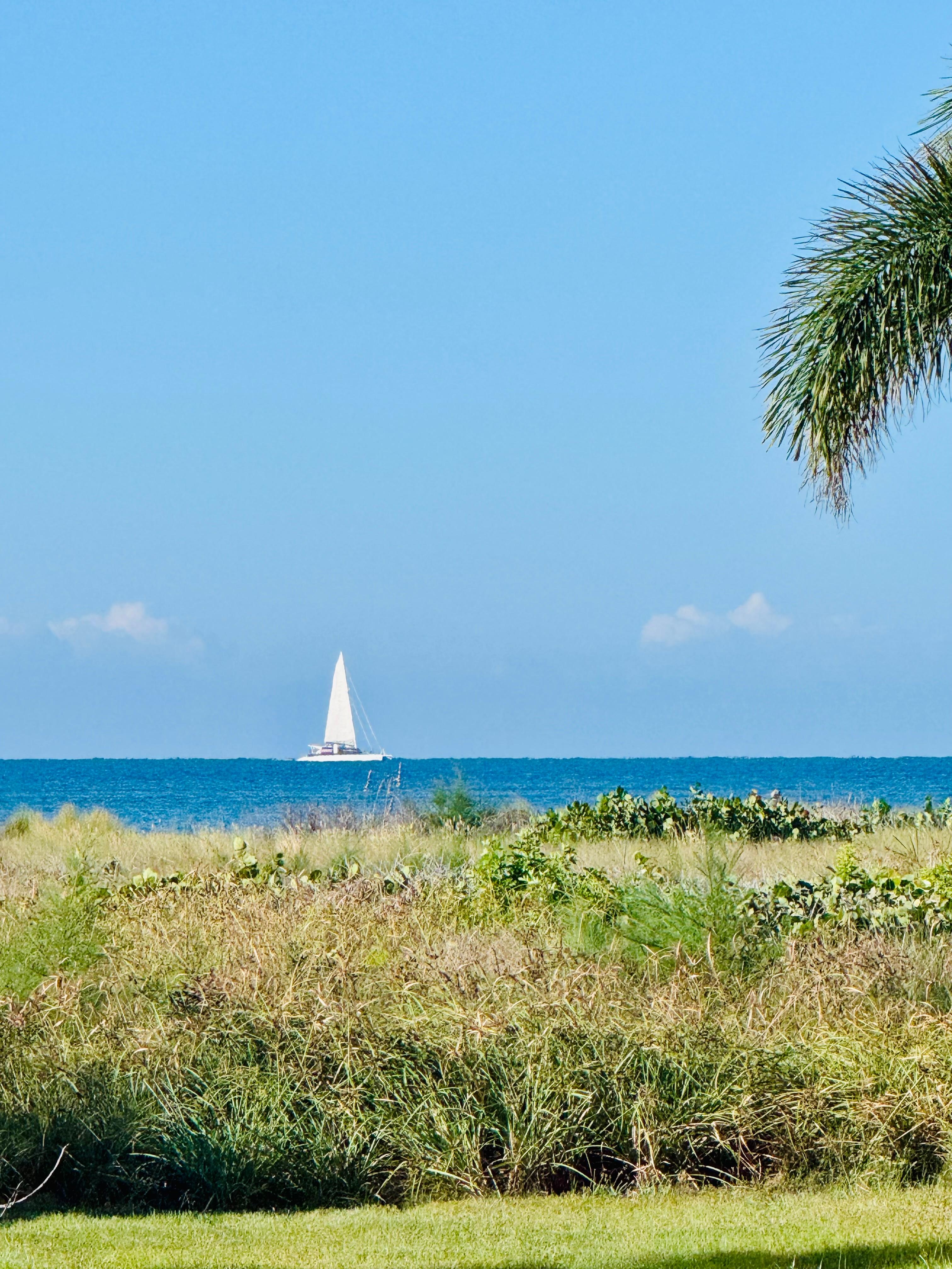 View from back deck. 