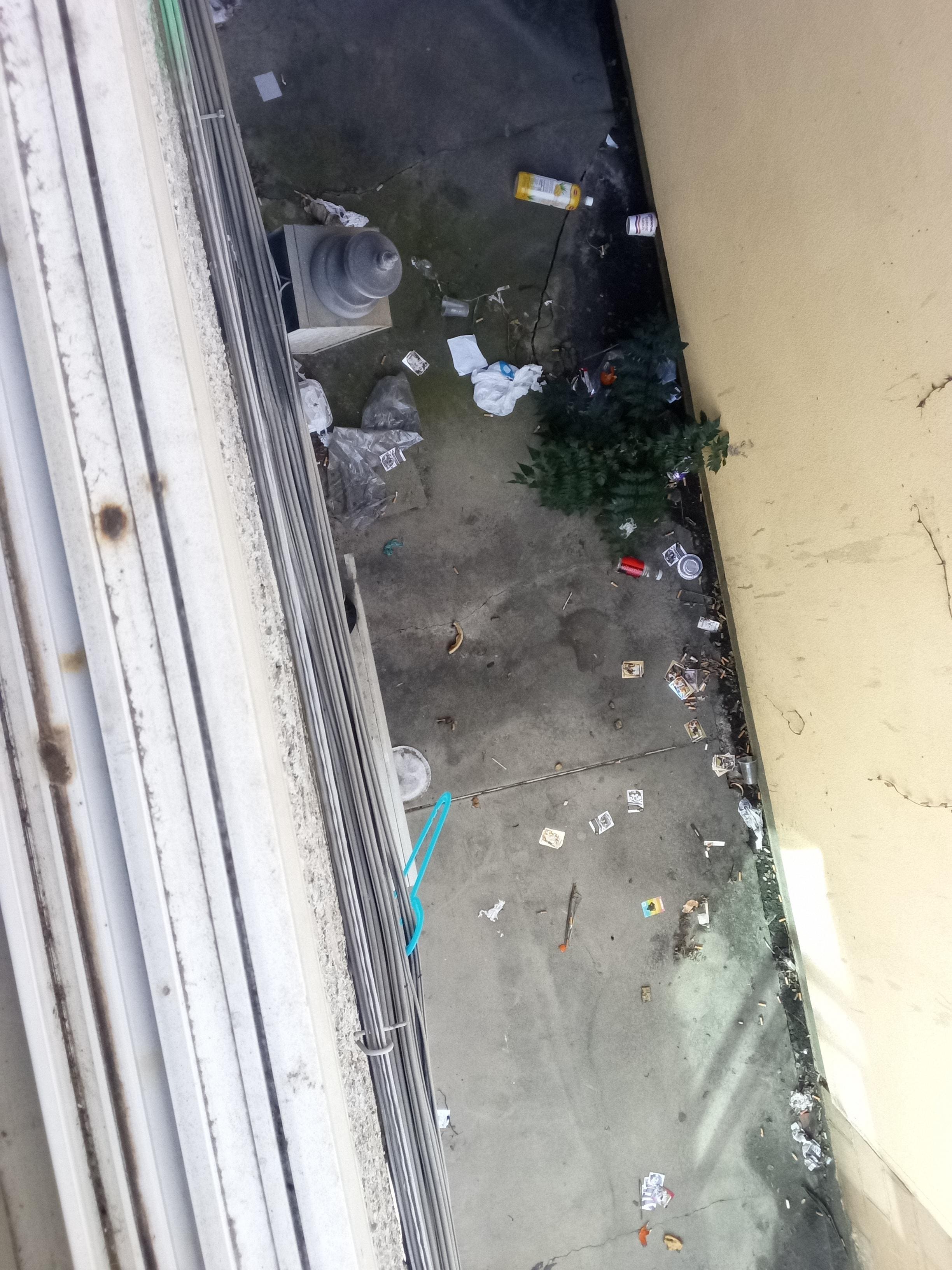 The view from my window.