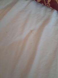 Stained sheet