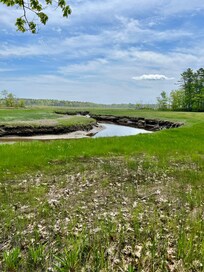 Marshes along the trail