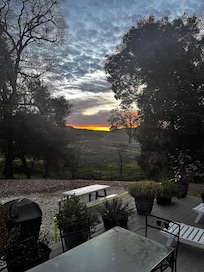 View out the front