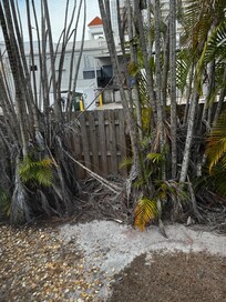 Terrible out back landscaping - needs to be cleaned up.