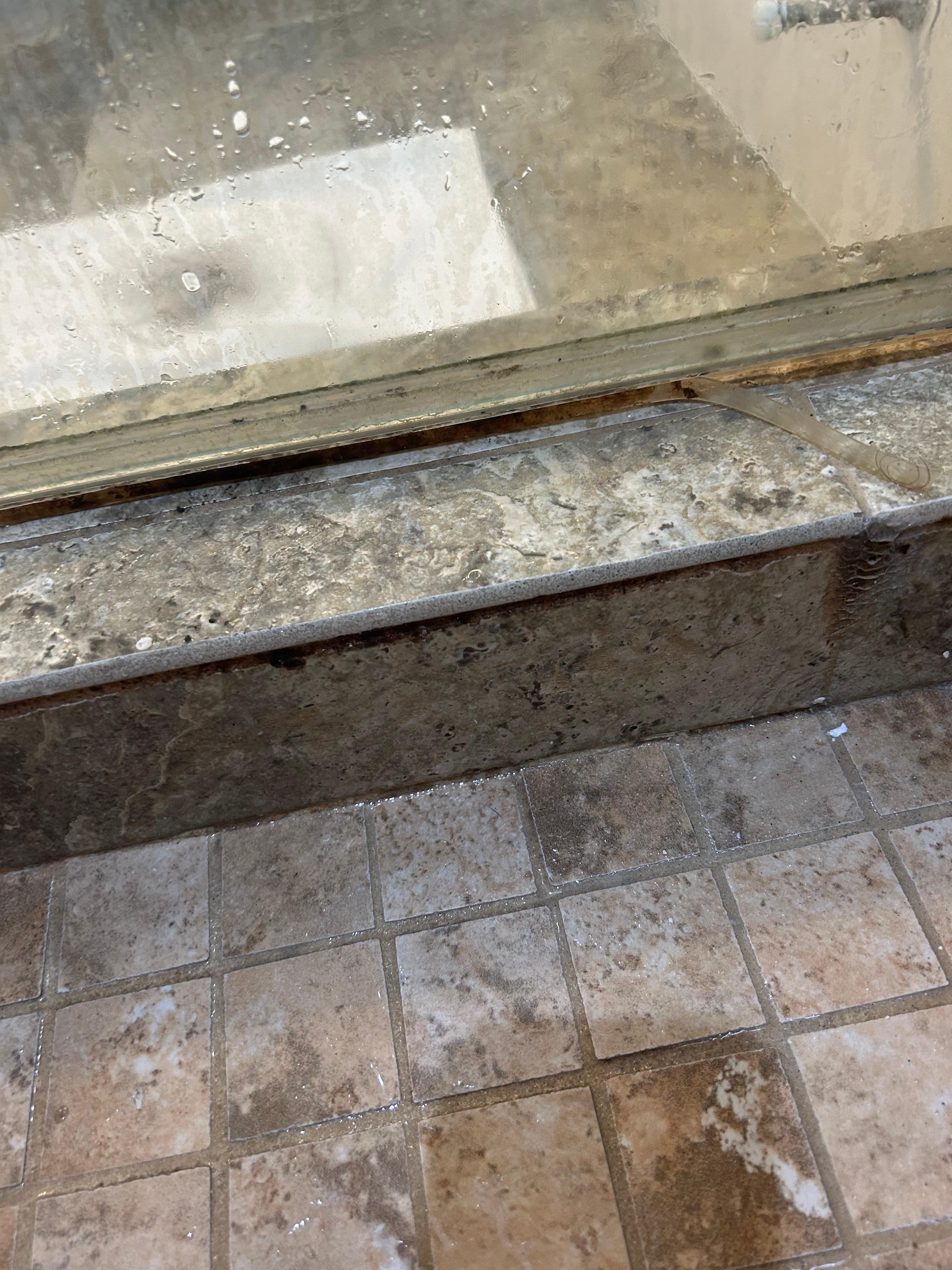 Mold in the shower 