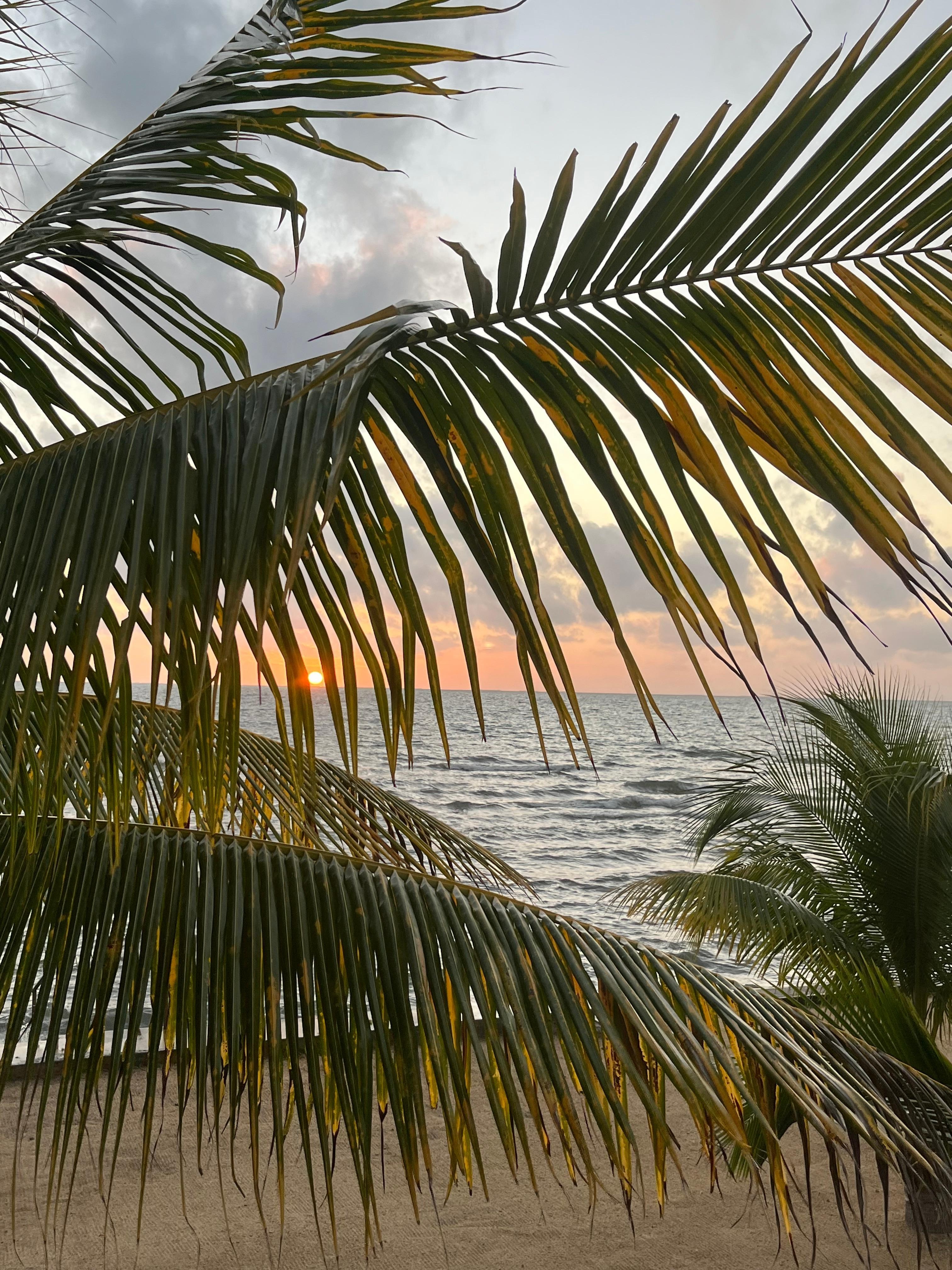 View from house!  Sunrise!