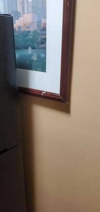 I can't describe the level of filth. This is a picture hanging behind the refrigerator. The grime and bugs were layers thick.