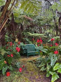 Garden nook