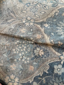 Nasty rug in the living room