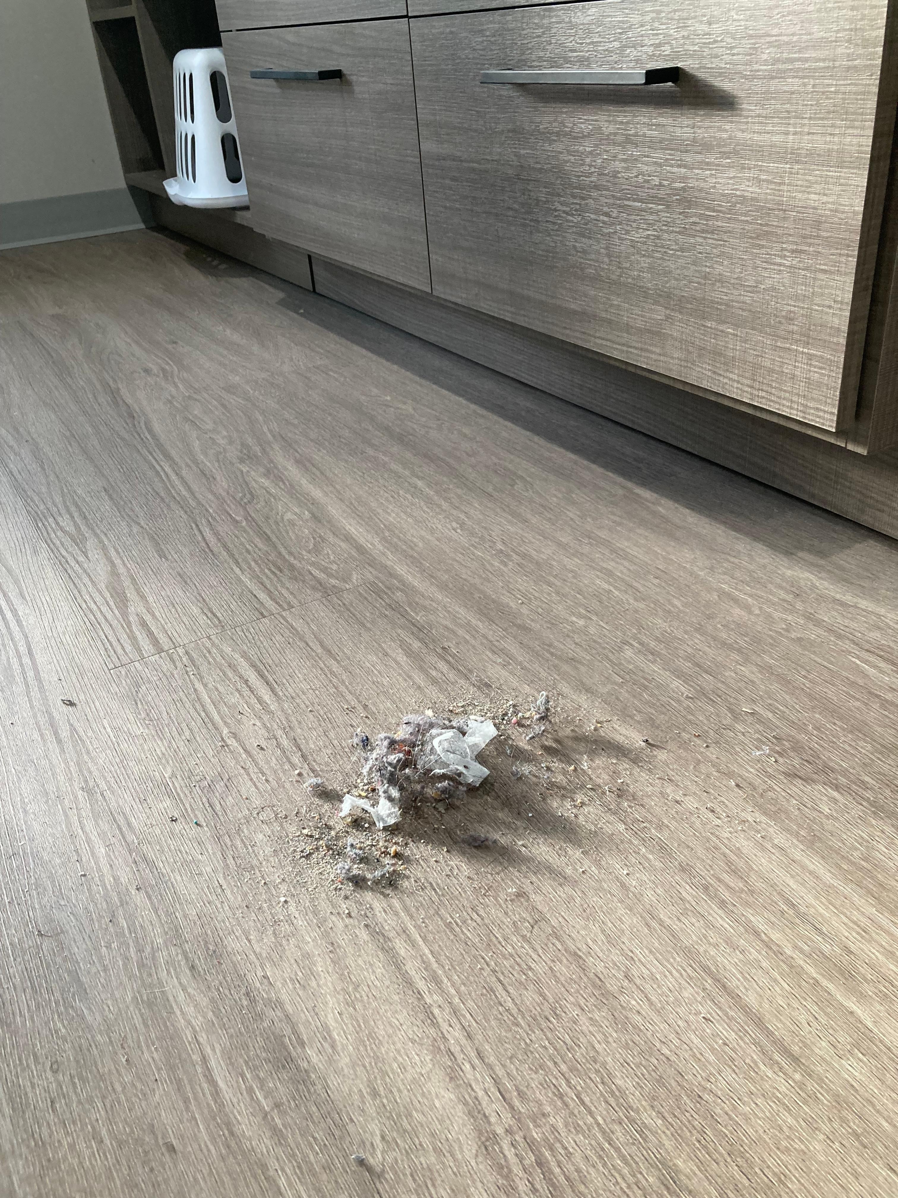 Here is a dust pile I collected from under the bed.