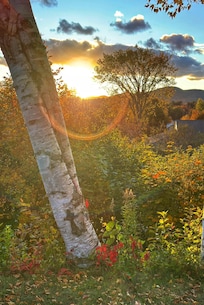 Back yard at the cottage
