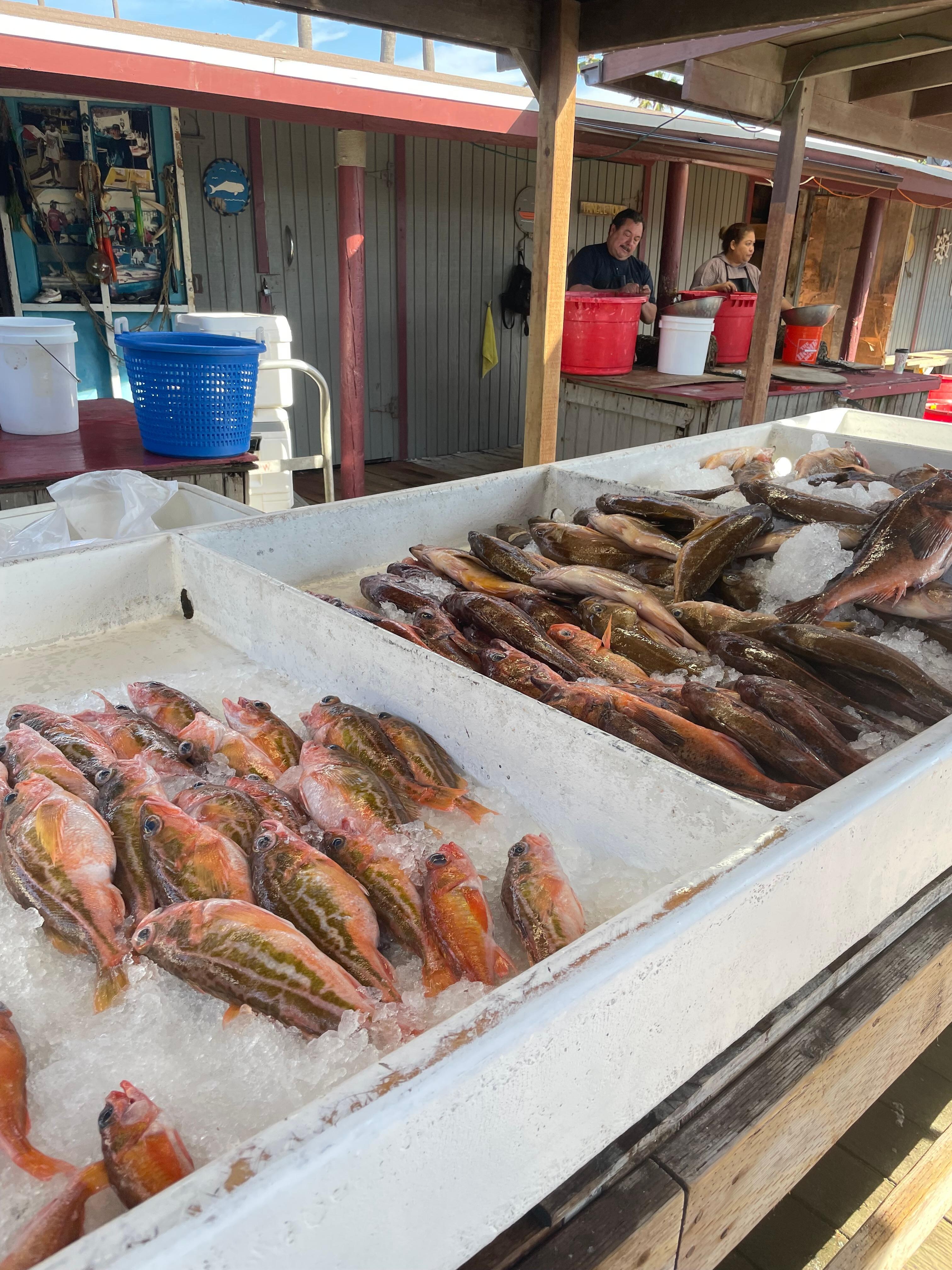 So fresh, you wouldn’t want us to go to the store