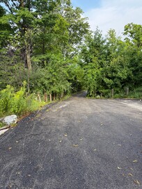 Driveway overgrown and marring cars