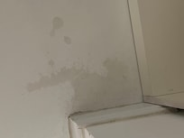 Stained floors