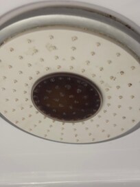The middle of this shower head was cracked and holding standing water which harbors bacteris