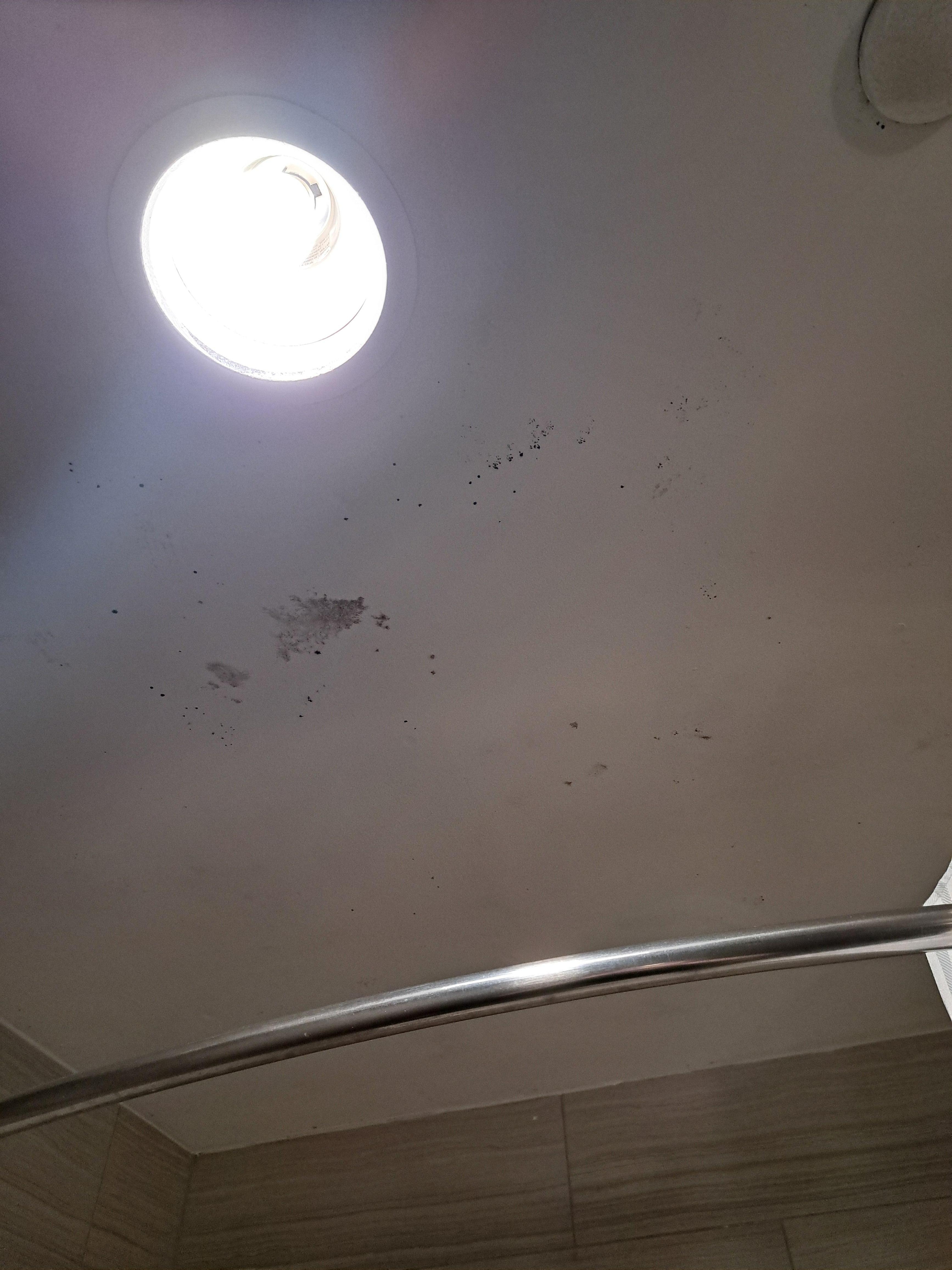Mold on bathroom ceiling 