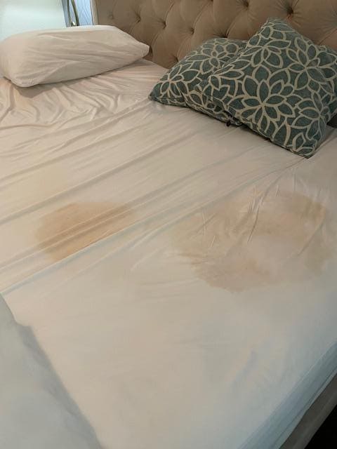 Urine stains (I think) on the mattress pad