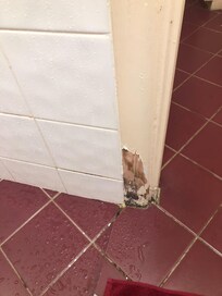 Wood starting to rot in the bathroom