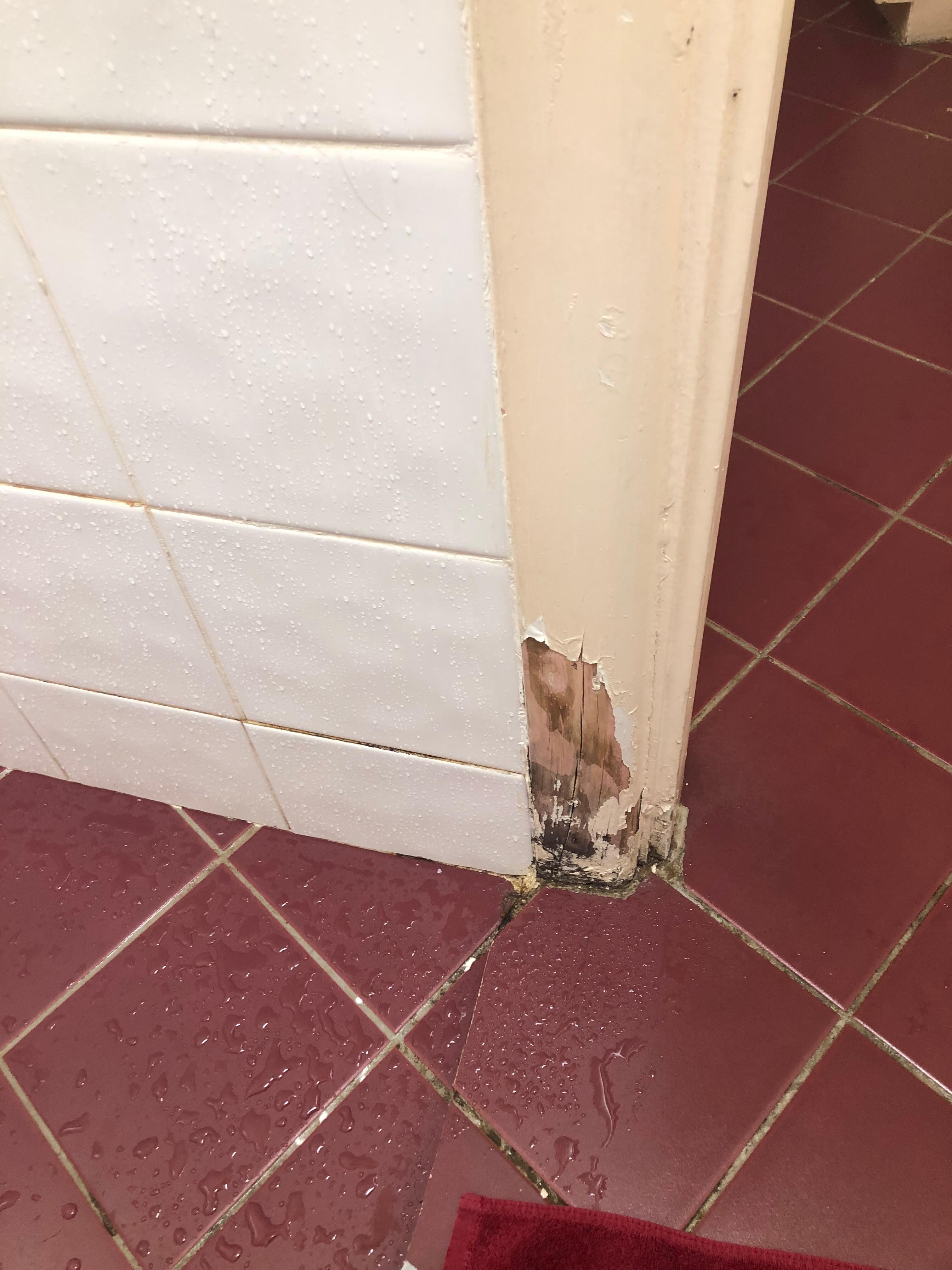 Wood starting to rot in the bathroom 