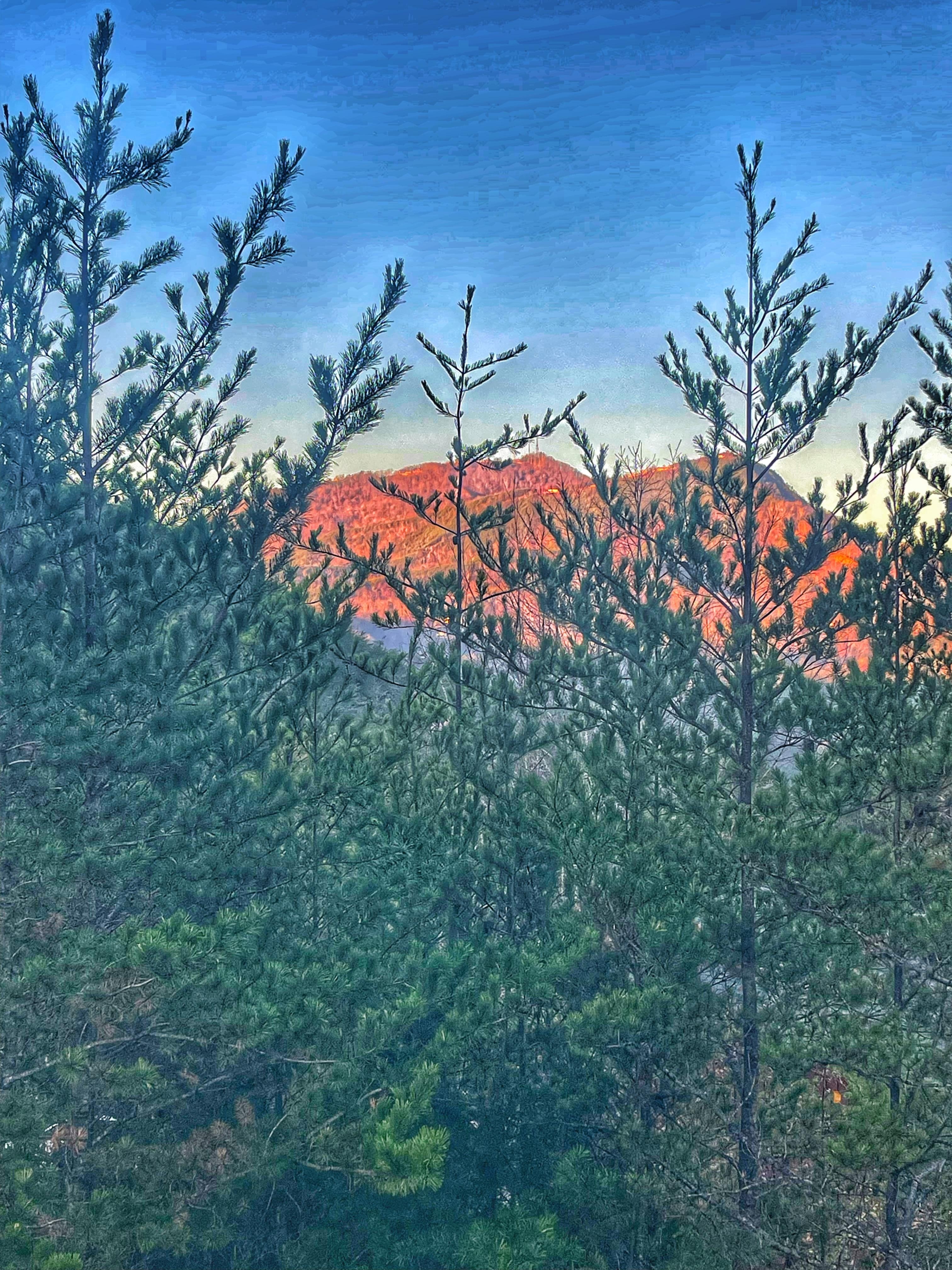 Beautiful view from the porch 