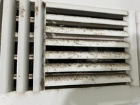 Air vents were molded throughout property.