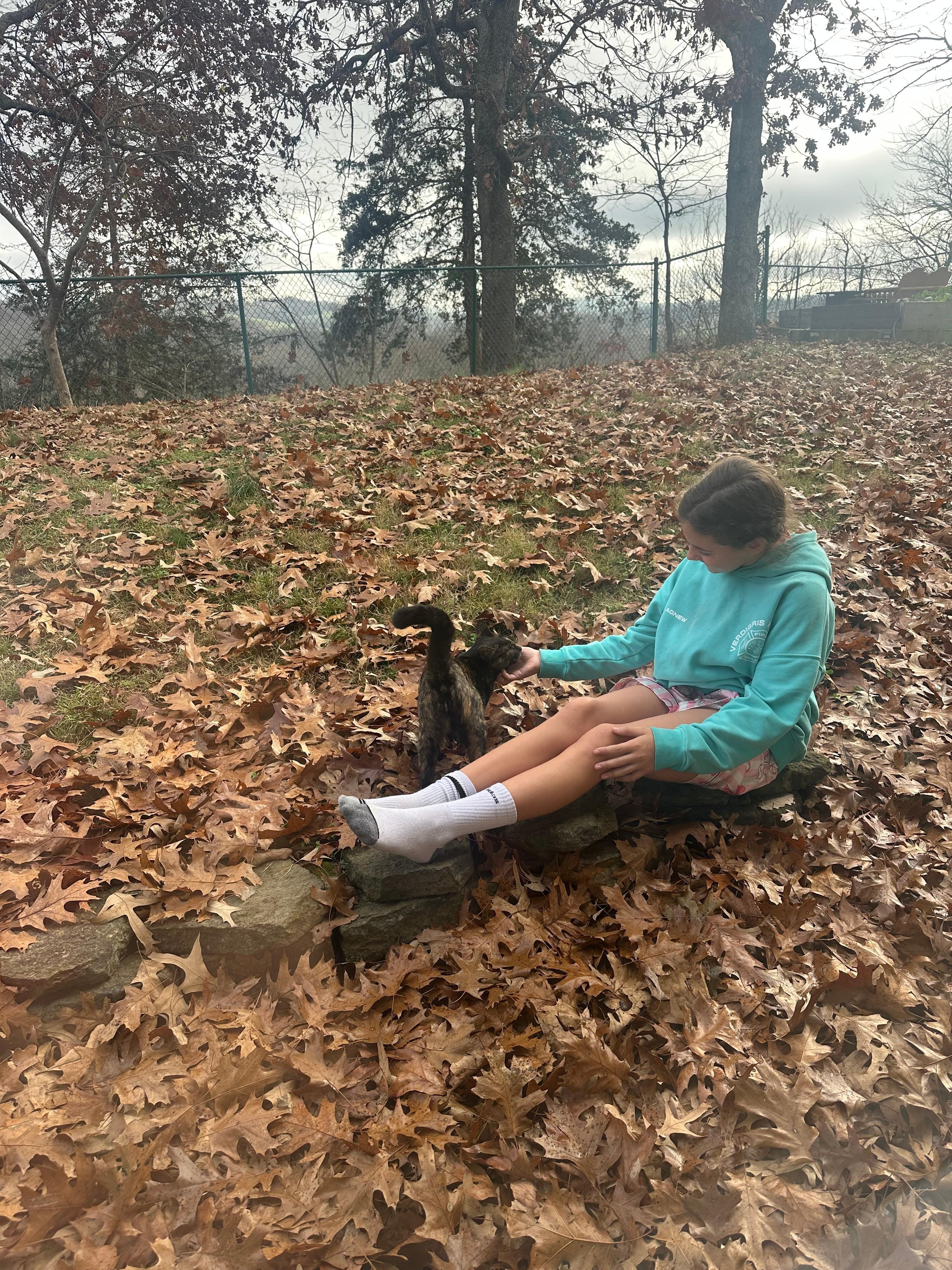 Friendly outdoor kitty 