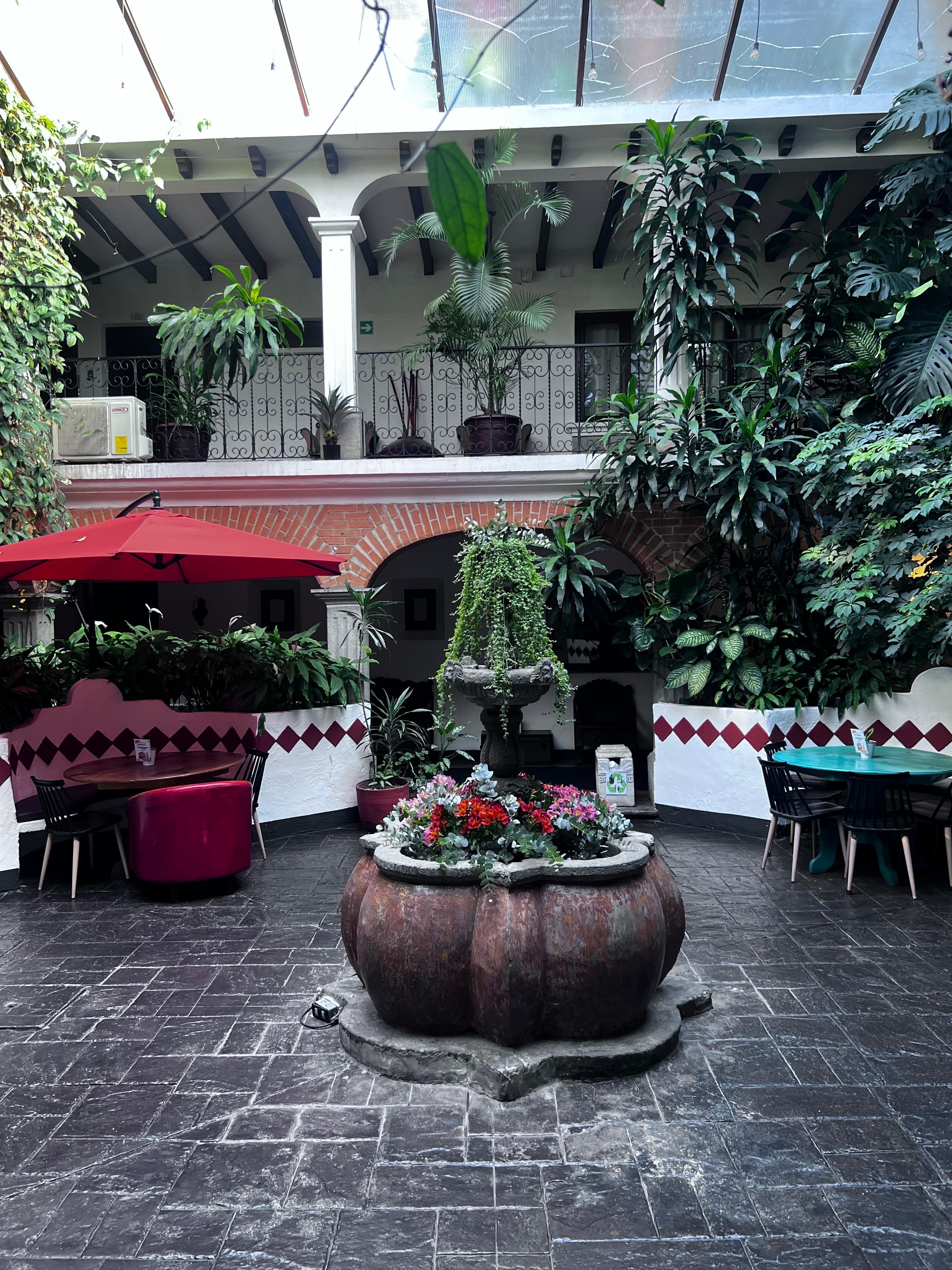 Terraza hermosa  acogedora y llena de plantas 