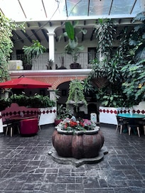 Terraza hermosa acogedora y llena de plantas