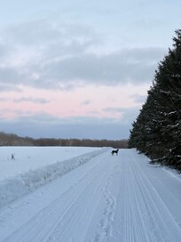 Beautiful private property with great views.