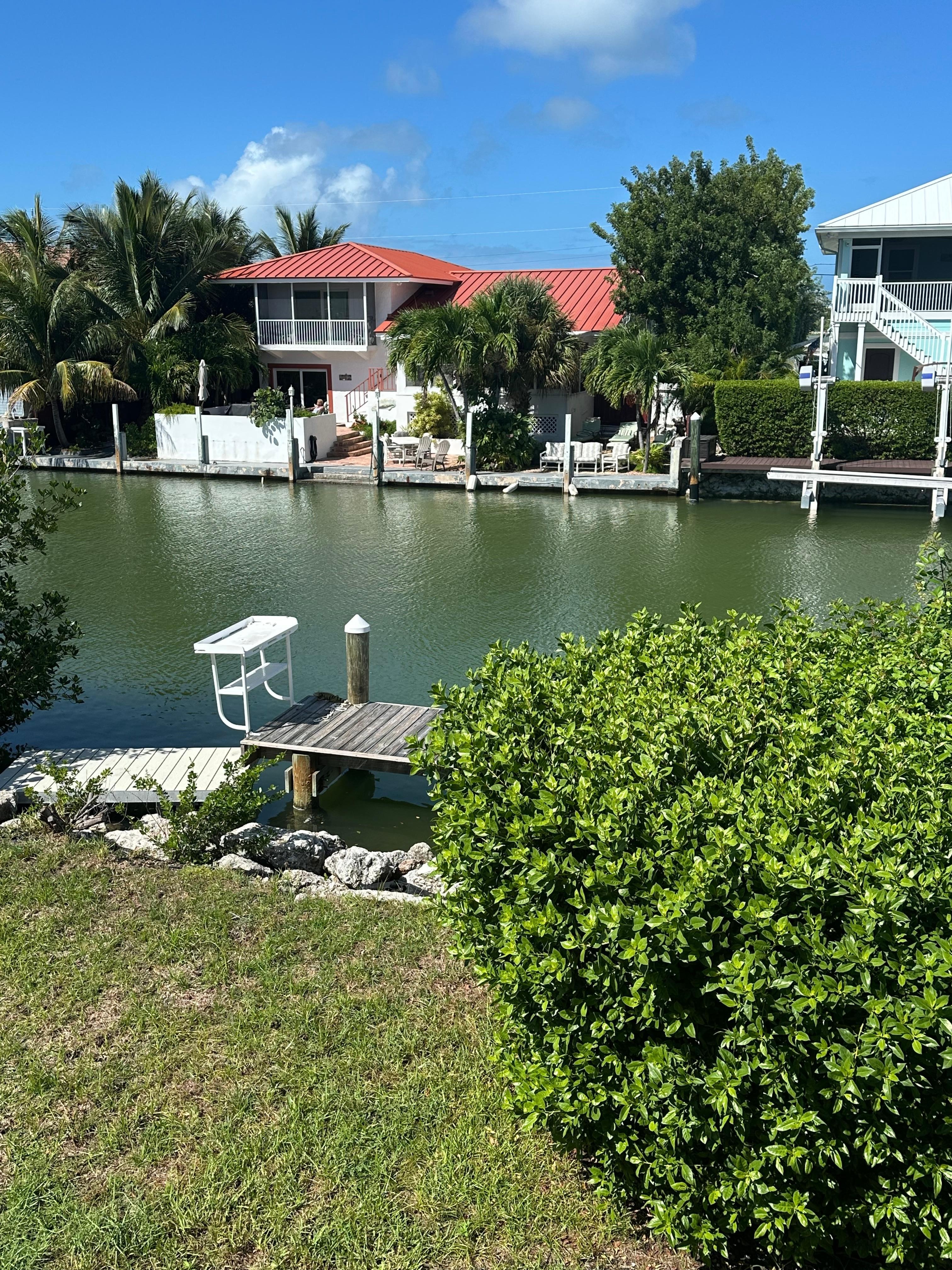 View from the back porch