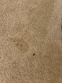 Blood stain on carpet.