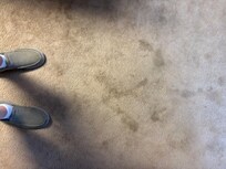 Dirty carpet