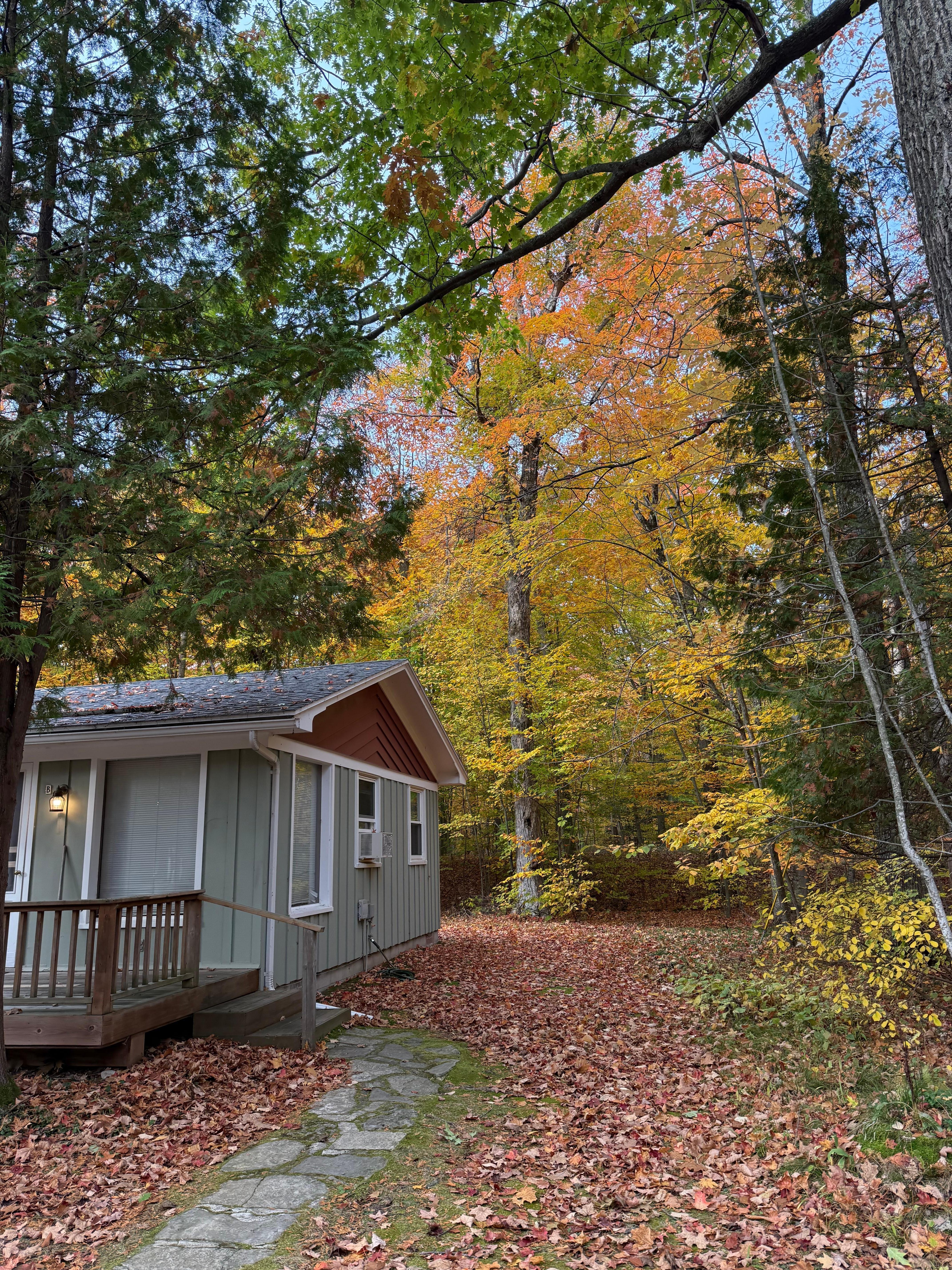 Looking at our side of the cottage