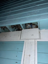 Insulation falling out on the side of the house