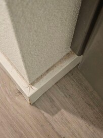 Dirty around all the baseboards.