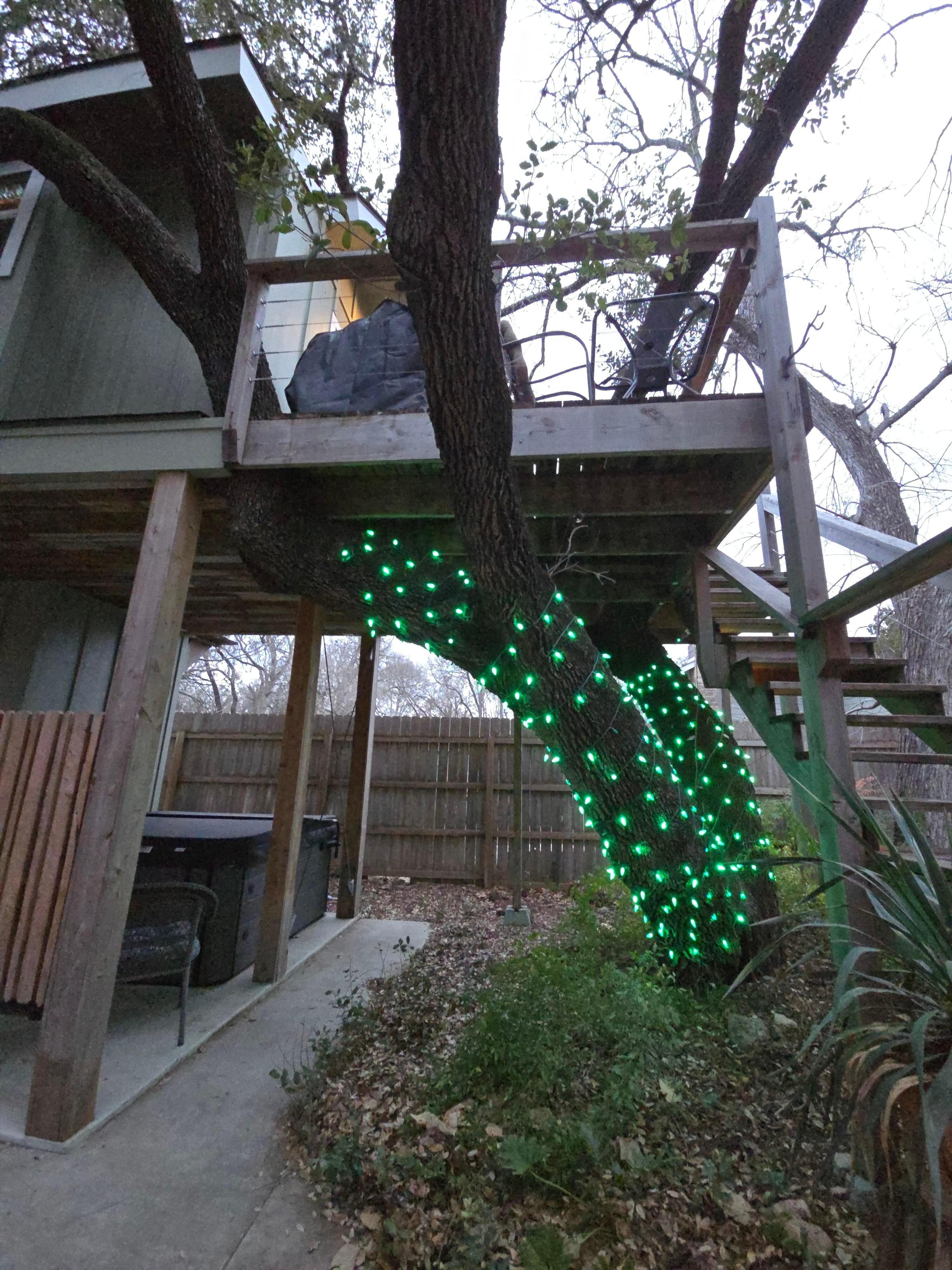 Under the deck and hot tub
