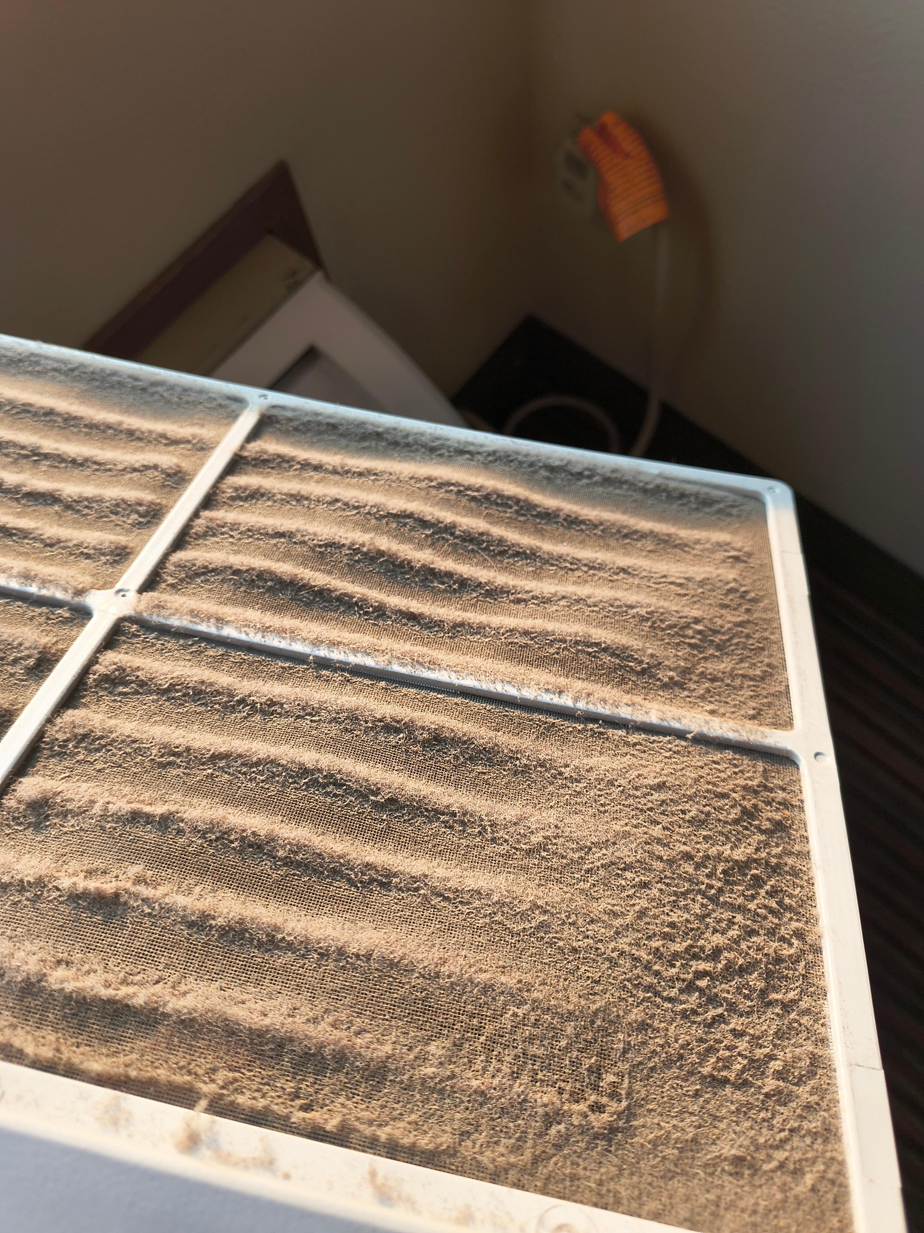 This was the air conditioning filter