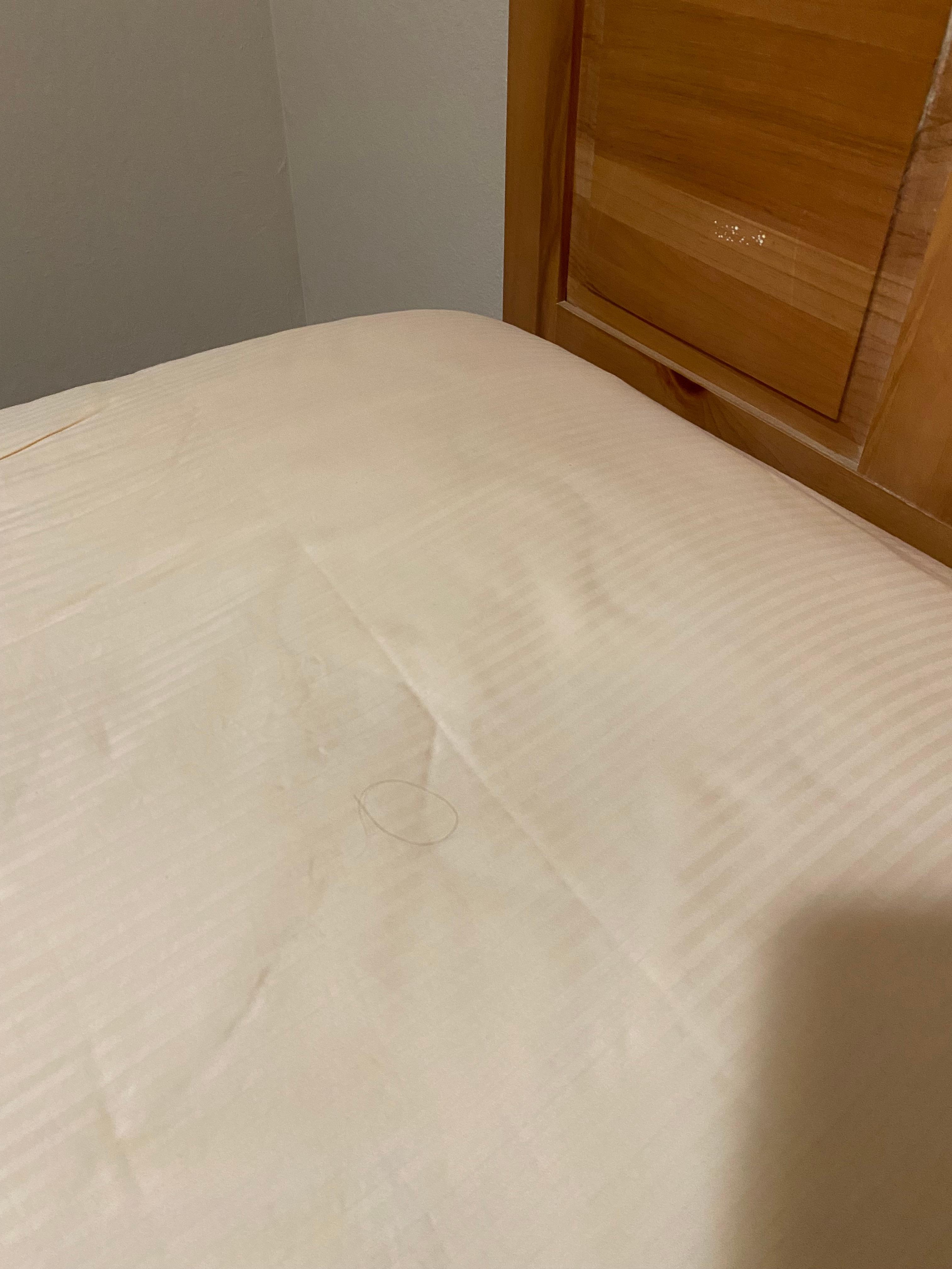 Stains and hair on bed sheets.