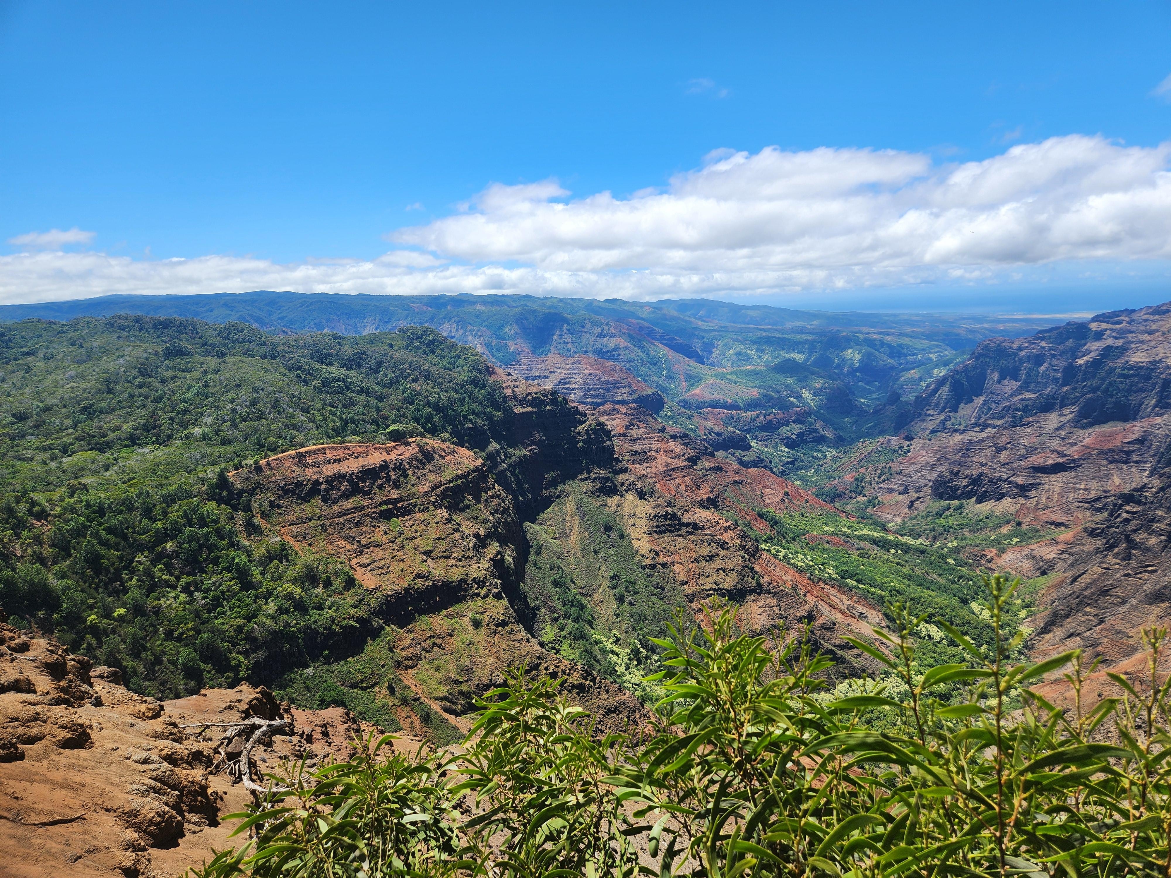 Waimea Canyon
