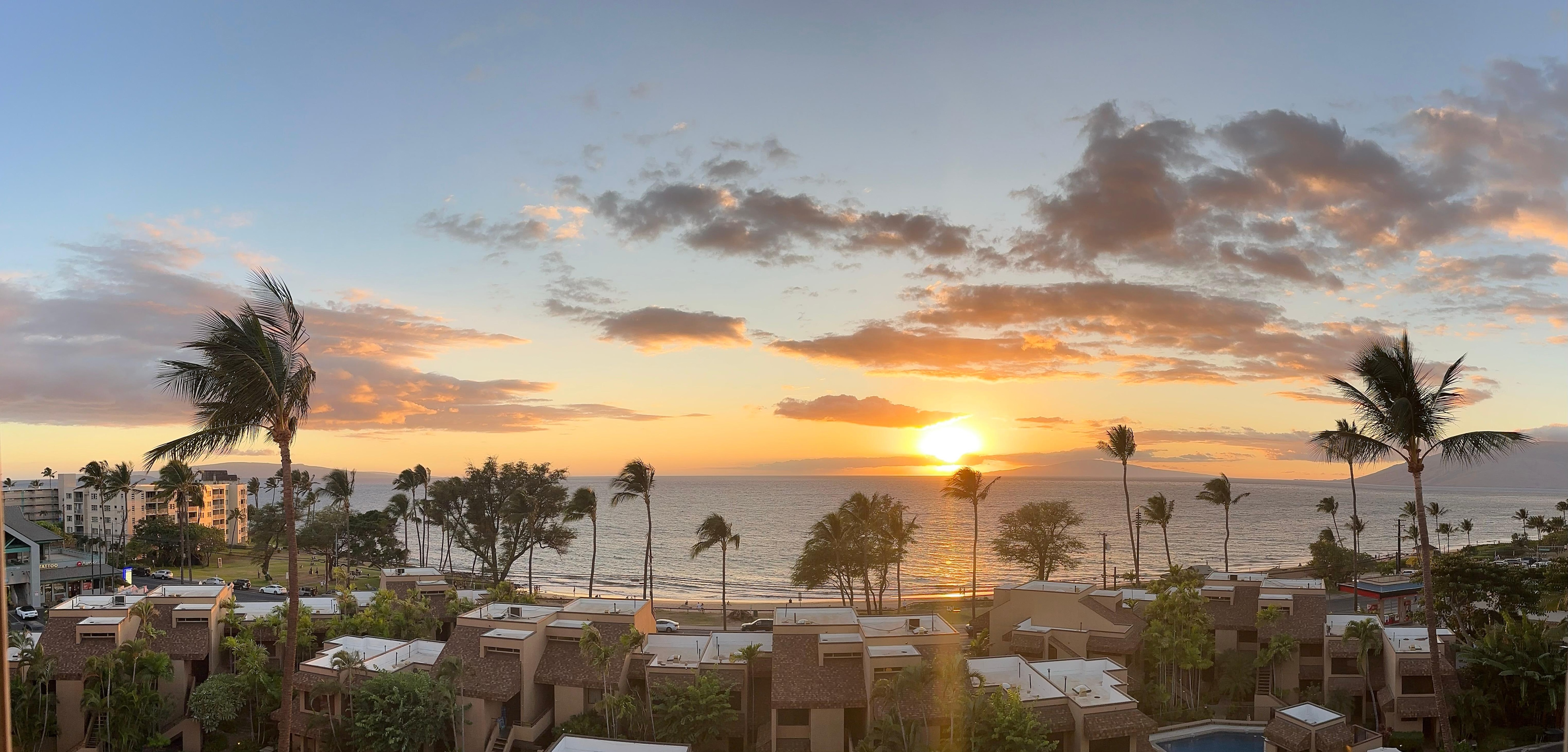 Panoramic view from the balcony. 