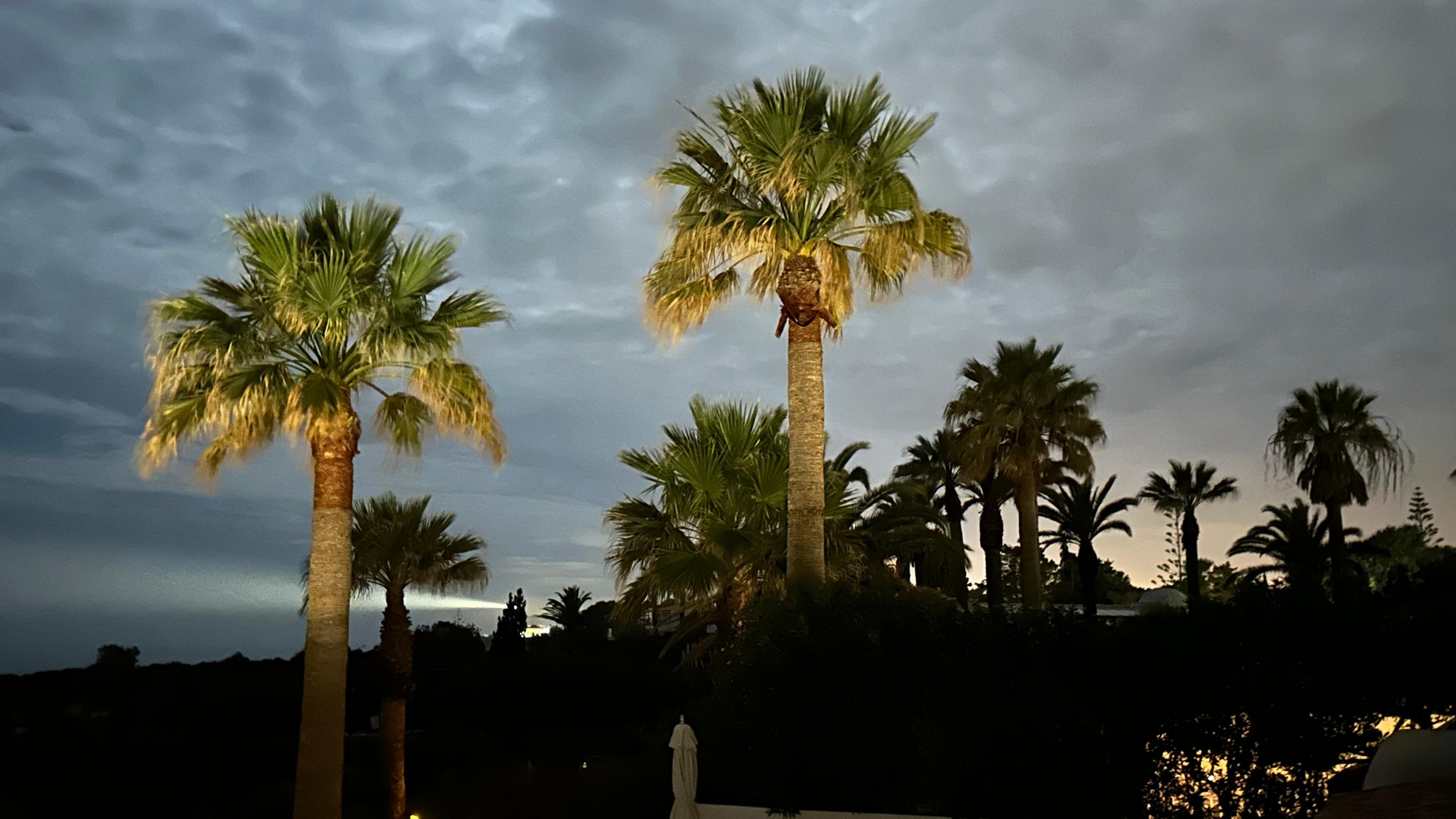 Auf der Dachterrasse
