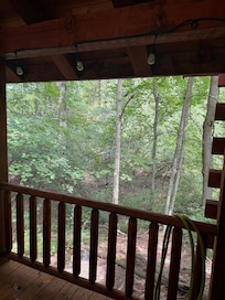 Back porch we saw several deer