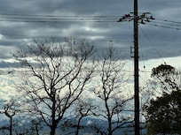 臨走最後一天才看到聯峰,而且酒店房間安排在地下一層,想看到美景一定要住最上面向山景的一層