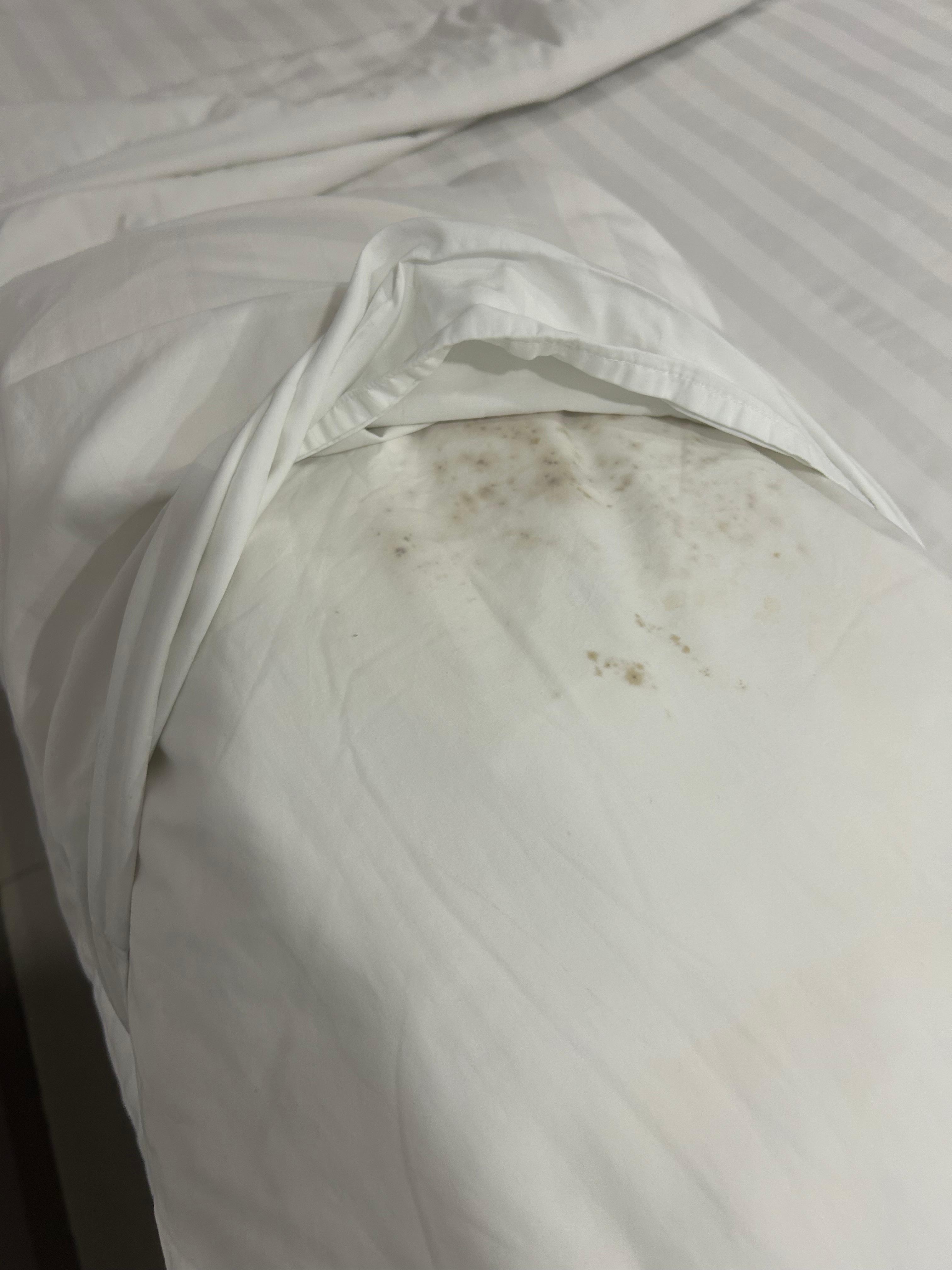 Moldy pillow
