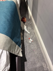 Shouldn’t have moved the bed!!