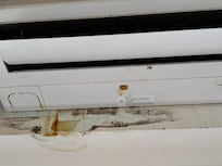 Mold around the air conditioner in the main house
