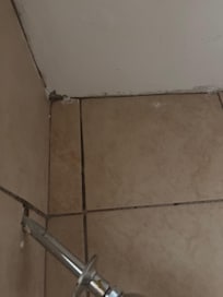 Mold in shower