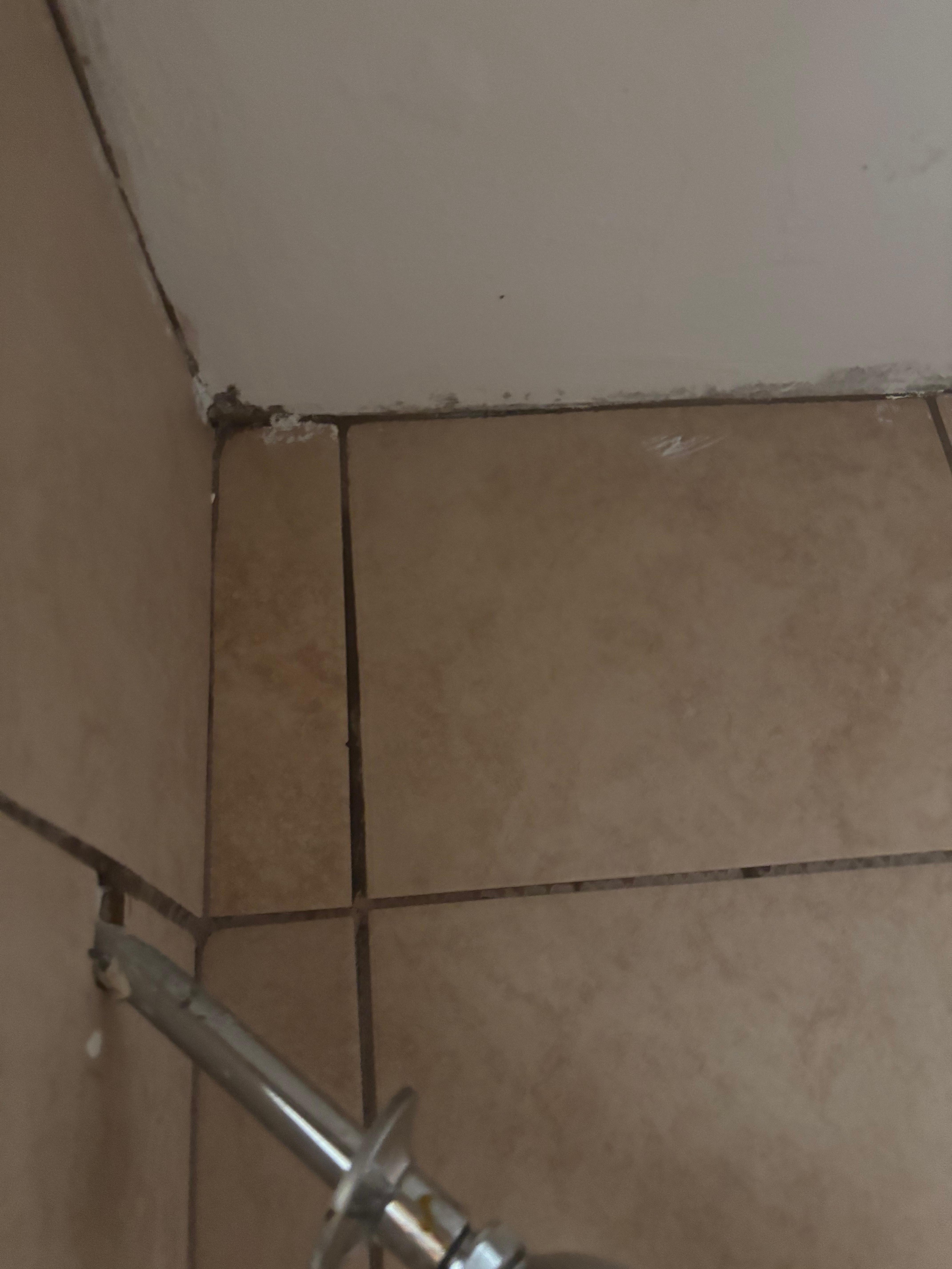 Mold in shower